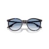 Ray Ban Rb2204 1430/3f