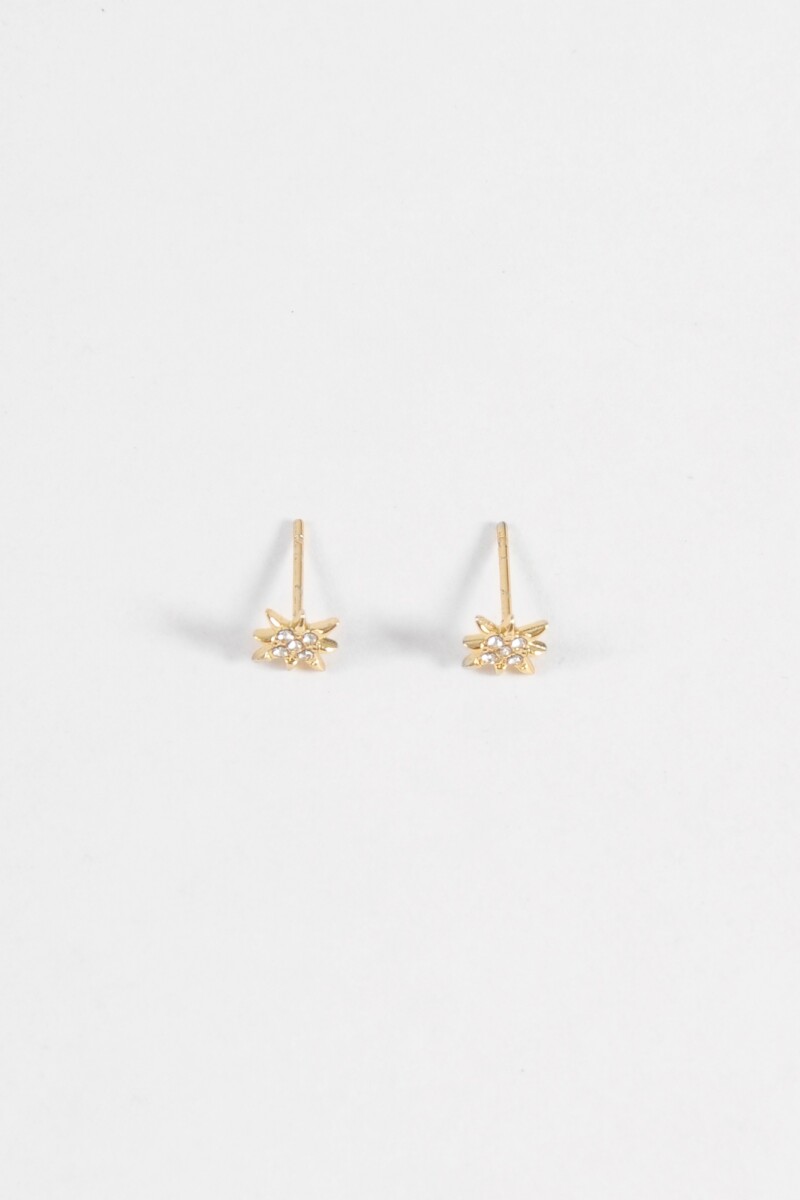 Caravanas pin estrella strass acero dorado