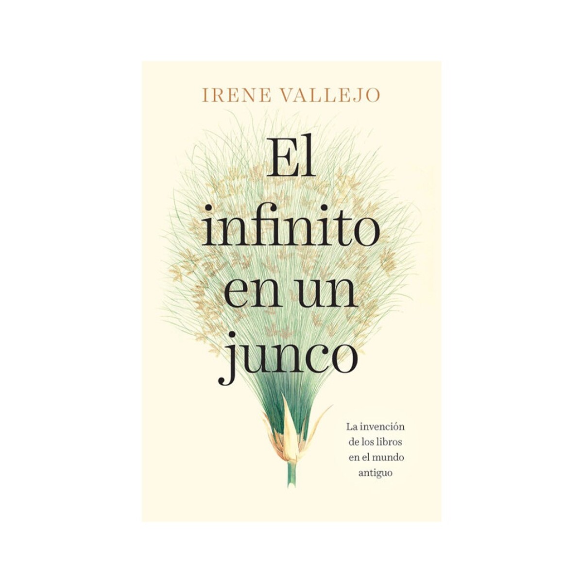 Libro el Infinito en un Junco de Irene Vallejo - 001 