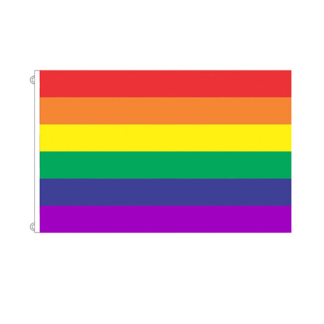 Bandera de la Diversidad 150 cm X 90 cm 001