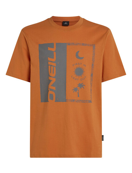 Remera O'Neill Front Print Negro Naranja