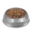 PLATO MASCOTA ARQPLAST 32X10CM PLATO MASCOTA ARQPLAST 32X10CM