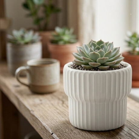 Maceta de cerámica con diseño acanalado – Colores pastel – Decoración para interiores y jardín Blanco