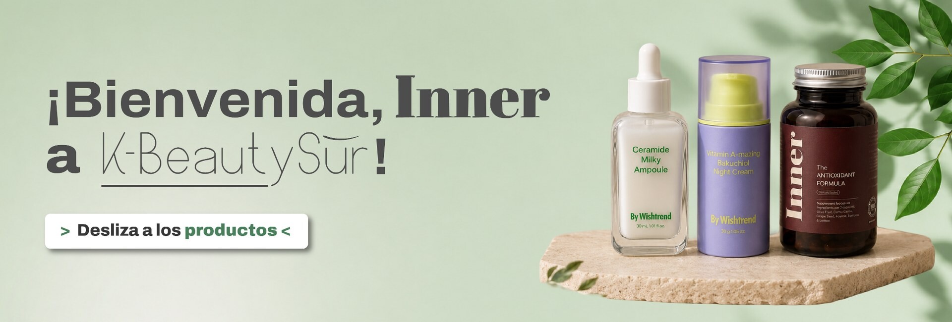 Bienvenida INNER