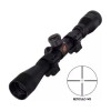 Combo Rifle Nitro Piston Big Cat Combo Rifle Nitro Piston Big Cat