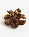 Broche Flores Broche Acrílico Flor - Marron Carey