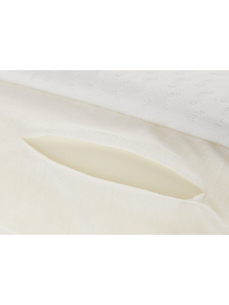 Almohada espuma visco 40x60x11 WELLPUR VIGLEN Almohada espuma visco 40x60x11 WELLPUR VIGLEN