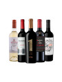 Pack Bacán Selección 'Blends & Descubrimientos x5 vinos Pack Bacán Selección 'Blends & Descubrimientos x5 vinos