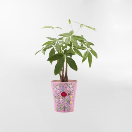 MACETERO FRIDA Rosa - Large