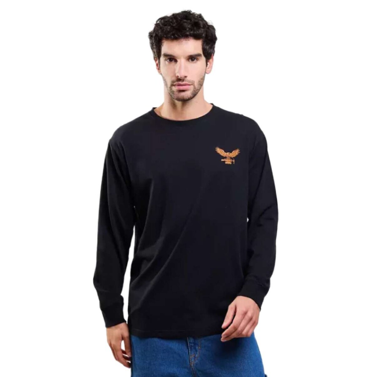 Remera Volcom Abg Organic Rawline - Negro 