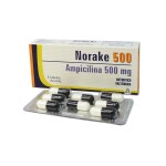 NORAKE 500 CJ X 8 CAPSULAS única