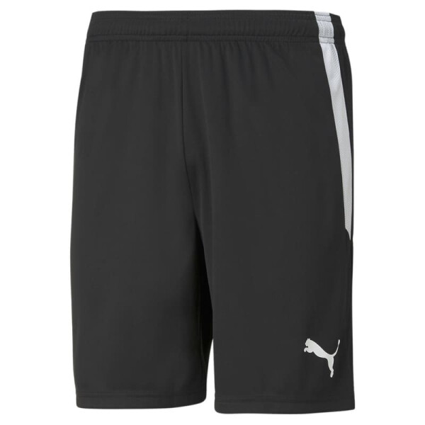 Puma Shorts de Hombre Negro