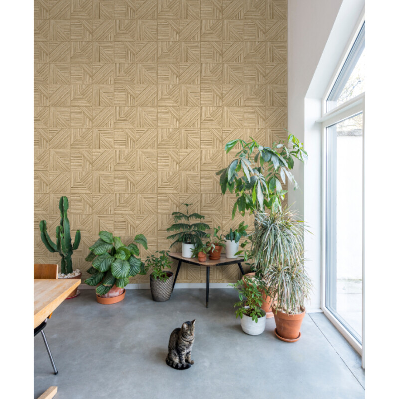 COLECCIÓN JUNGLE FEVER - PAGLIA WOOD - ORIGEN BELGA - N/A