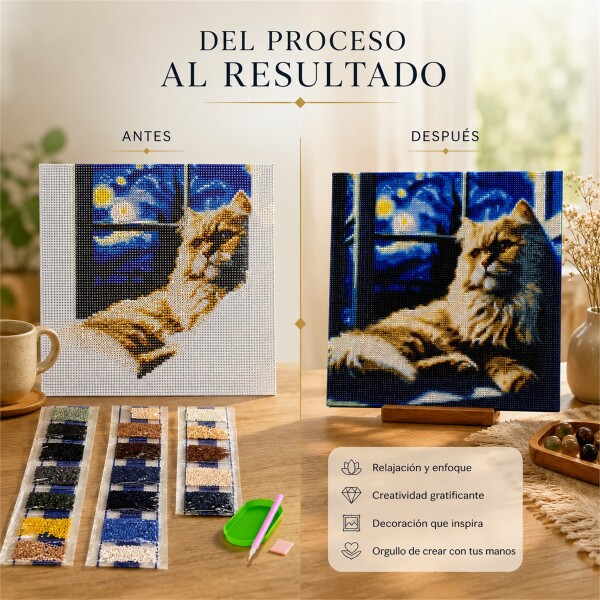 Kit de Pintura Diamante 5D Diamond Painting 30 x 30 cm DISEÑO 1
