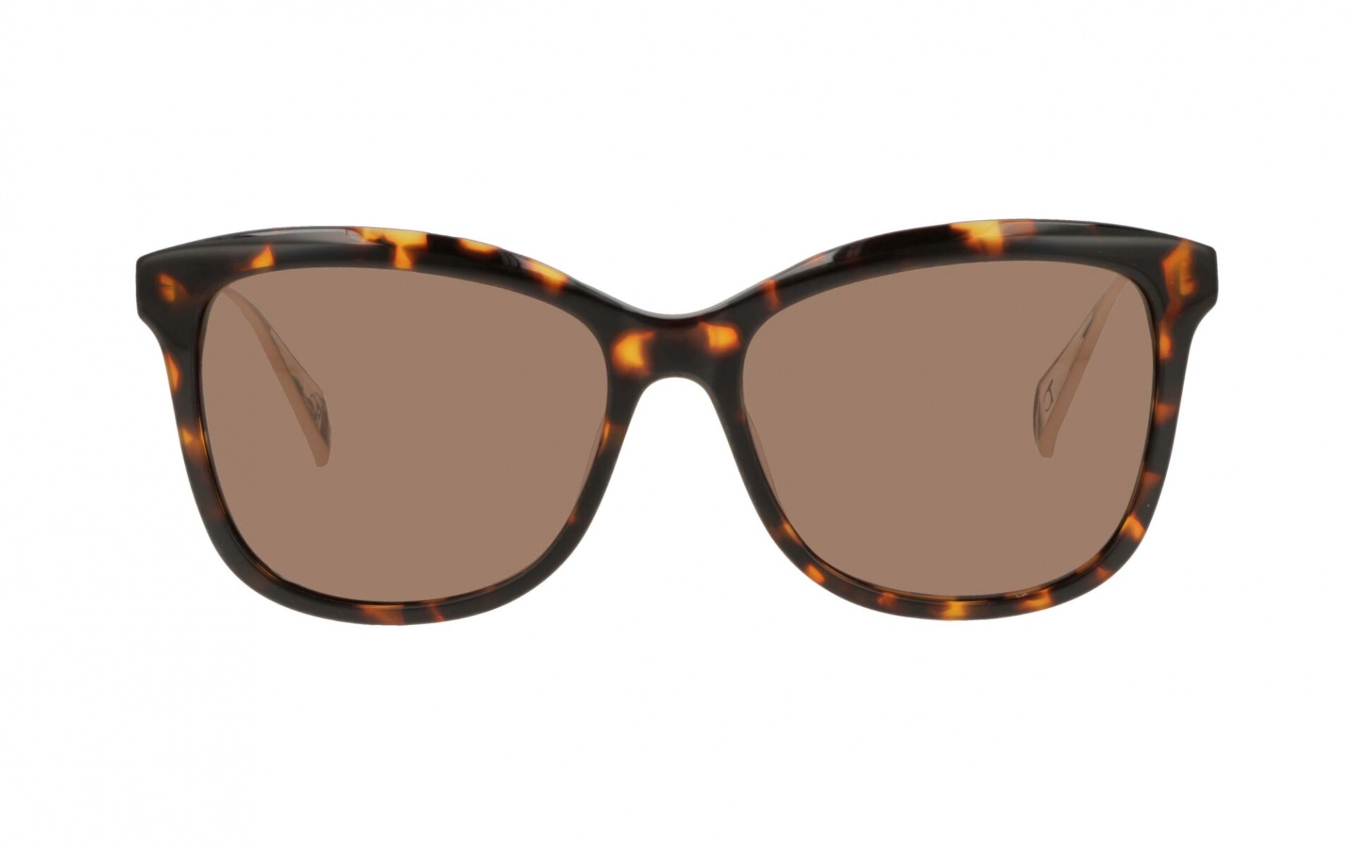 Teresa Calandra Isabella col tortoise 