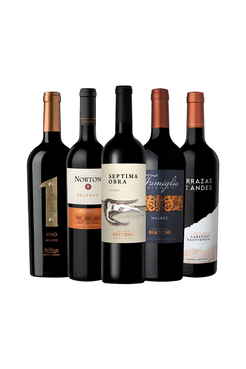 Pack Bacán Favoritos del año: Alma Andina x5 vinos 