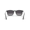 Ray Ban Rb4187l Chris 622/8g