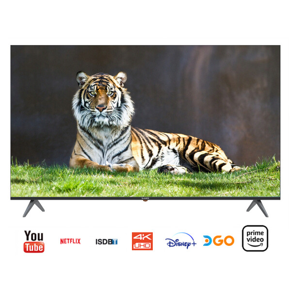 Smart Tv James Tvj Led S55 V2 El Smart 55" TV 55 JAMES SMART S55 V2EL 000155