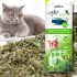 HIERBA GATERA CATNIP KIT DE 6 UNIDADES X 2 G C/JUGUETE INSECTO PARA GATOS HIERBA GATERA CATNIP KIT DE 6 UNIDADES X 2 G C/JUGUETE INSECTO PARA GATOS
