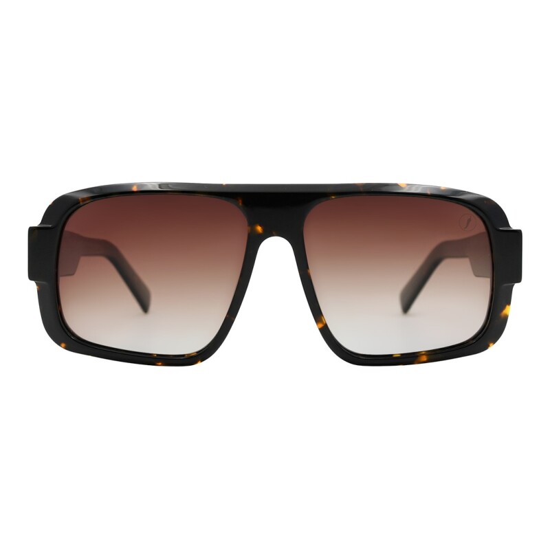 Lentes de Sol Chilli Beans Seattle Marrón