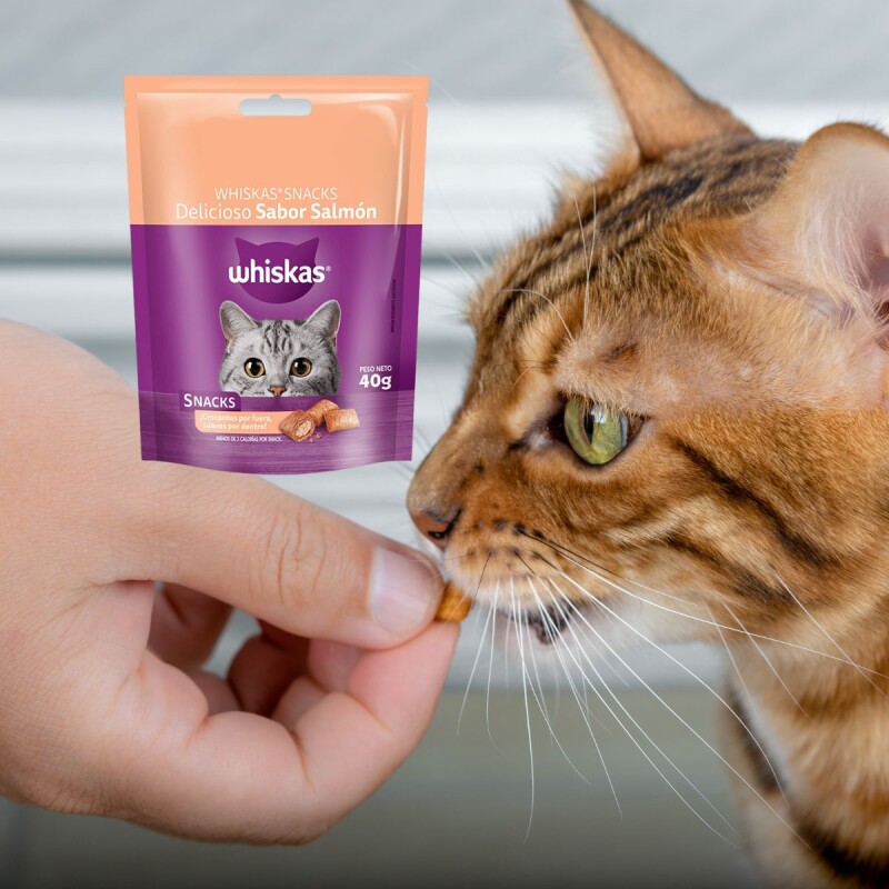 WHISKAS SNACKS SALMON 80 GRAMOS