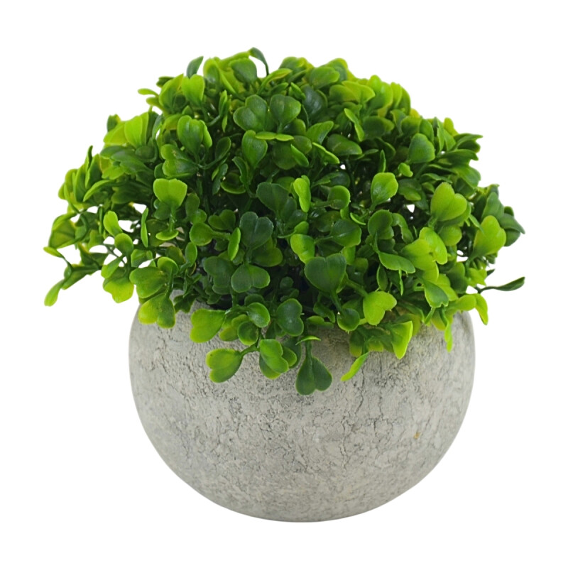 Arbusto Boj Artificial 12X9CM S/C