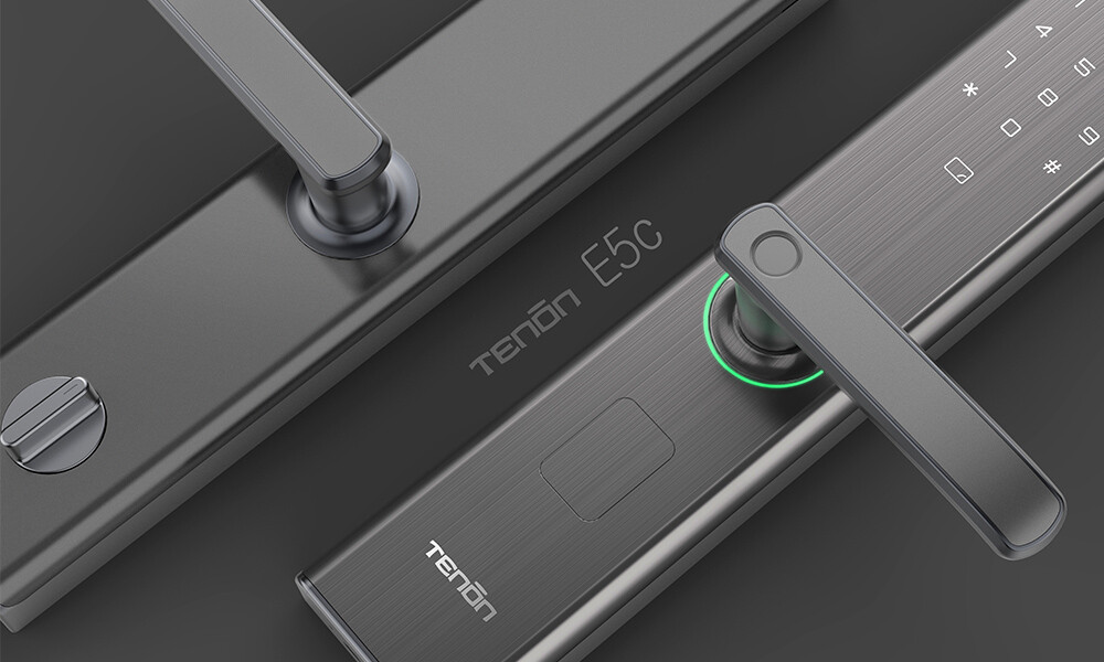 Cerradura E5C 365-n