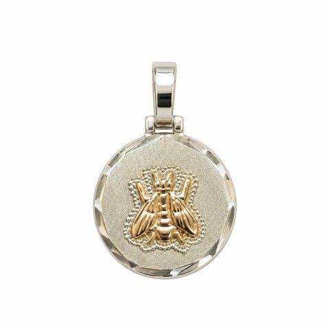 Medalla profesión Maestra Medalla profesión Maestra
