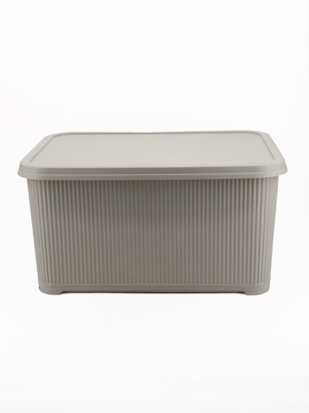 CAJA ORGANIZADORA CON TAPA BEIGE
