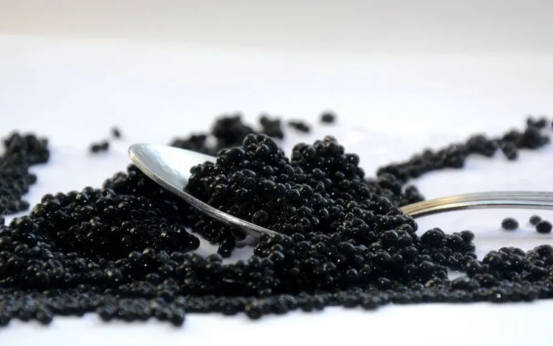 Caviar Oscietra uruguayo: un ingrediente de lujo con beneficios reales para la piel
