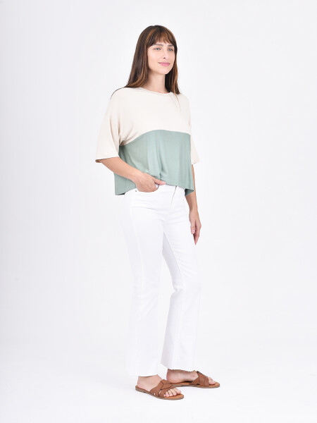 REMERA CALIFORNIA VARIANTE 2