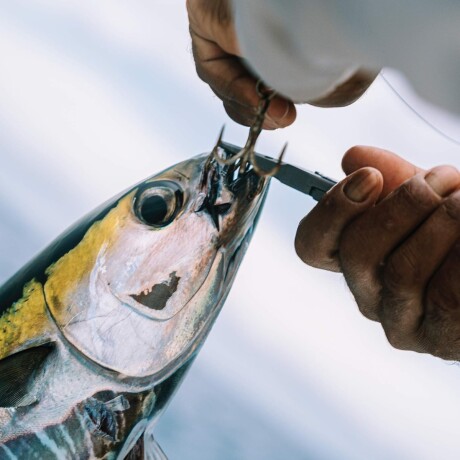Alicate para pesca Alicate para pesca