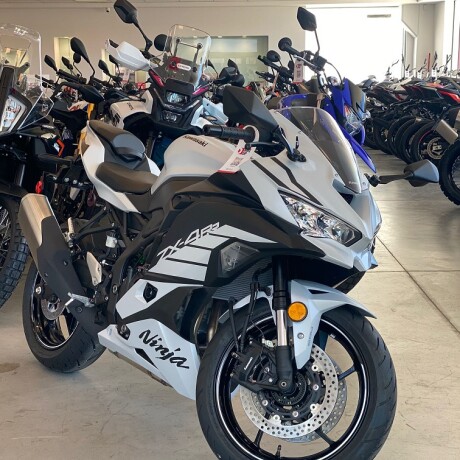 Kawasaki Ninja ZX4 RR Gris