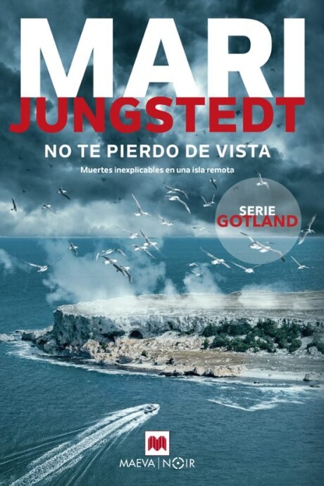 NO TE PIERDO DE VISTA NO TE PIERDO DE VISTA