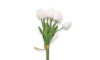 Ramo 9 Tulipanes - Blanco Ramo 9 Tulipanes - Blanco