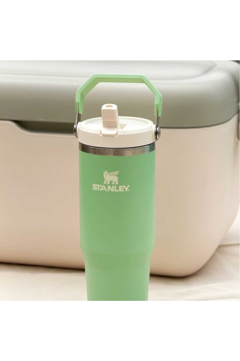 FLIP STRAW TUMBLER | 887 ML MIST