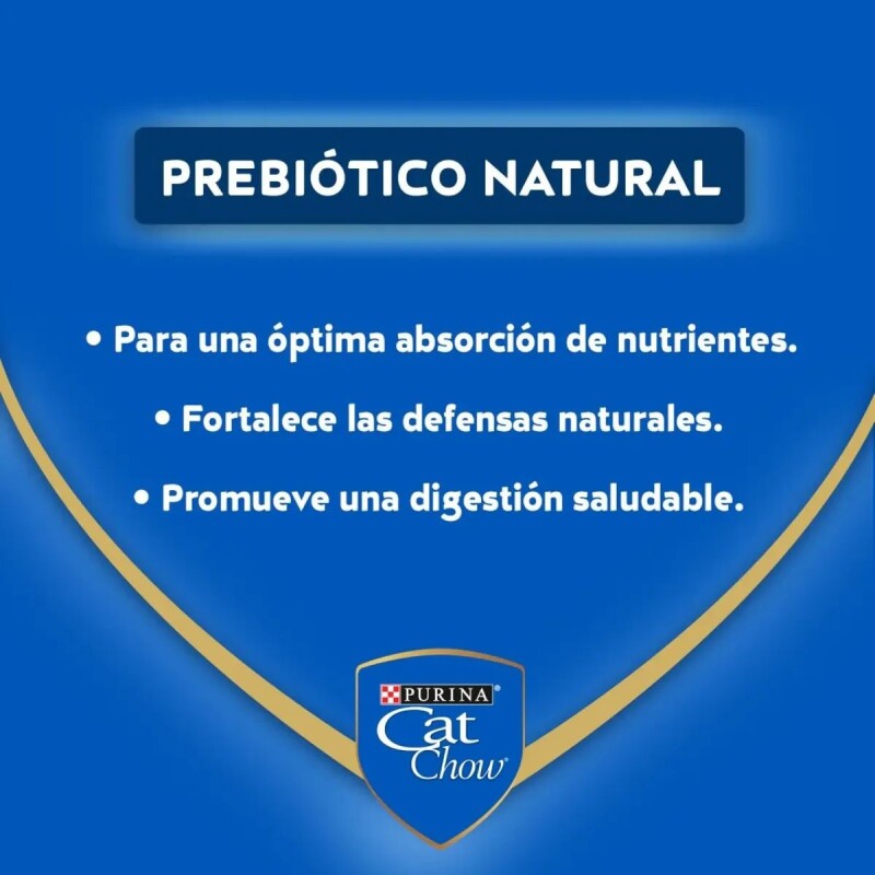 CAT CHOW EN SALSA ADULTOS CARNE 85 GRS CAJA X 15 UNIDADES