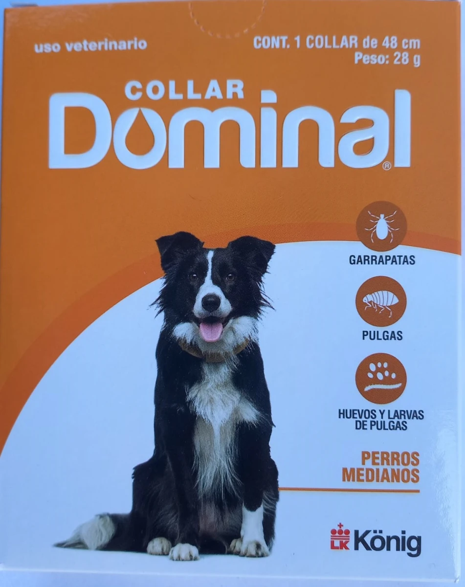 Dominal Collar Mediano 