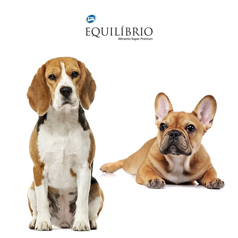 EQUILIBRIO PERROS ADULTOS RAZAS PEQUEÑAS 7.5 KG