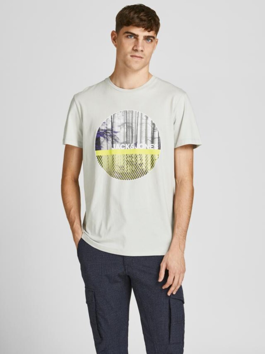 Camiseta Estampada - Glacier Gray 