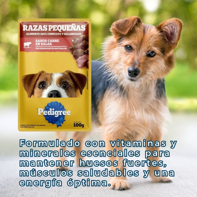 PEDIGREE EN SALSA RAZAS PEQUEÑAS CARNE 85 GRAMOS PEDIGREE EN SALSA RAZAS PEQUEÑAS CARNE 85 GRAMOS