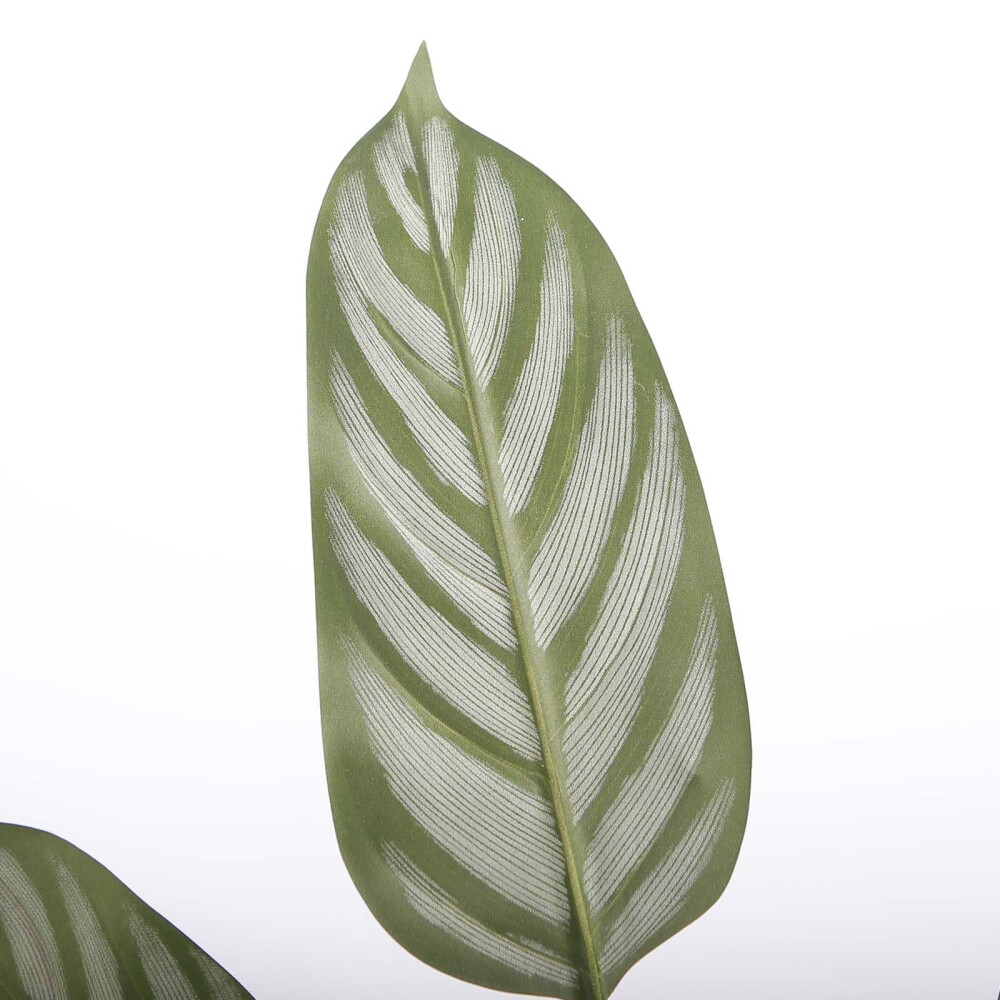 CALATHEA ARTIFICIAL Y8 VERDE ARTIFICIAL Y8560-10-4P