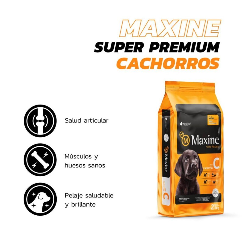 MAXINE PERROS CACHORROS 21 KG