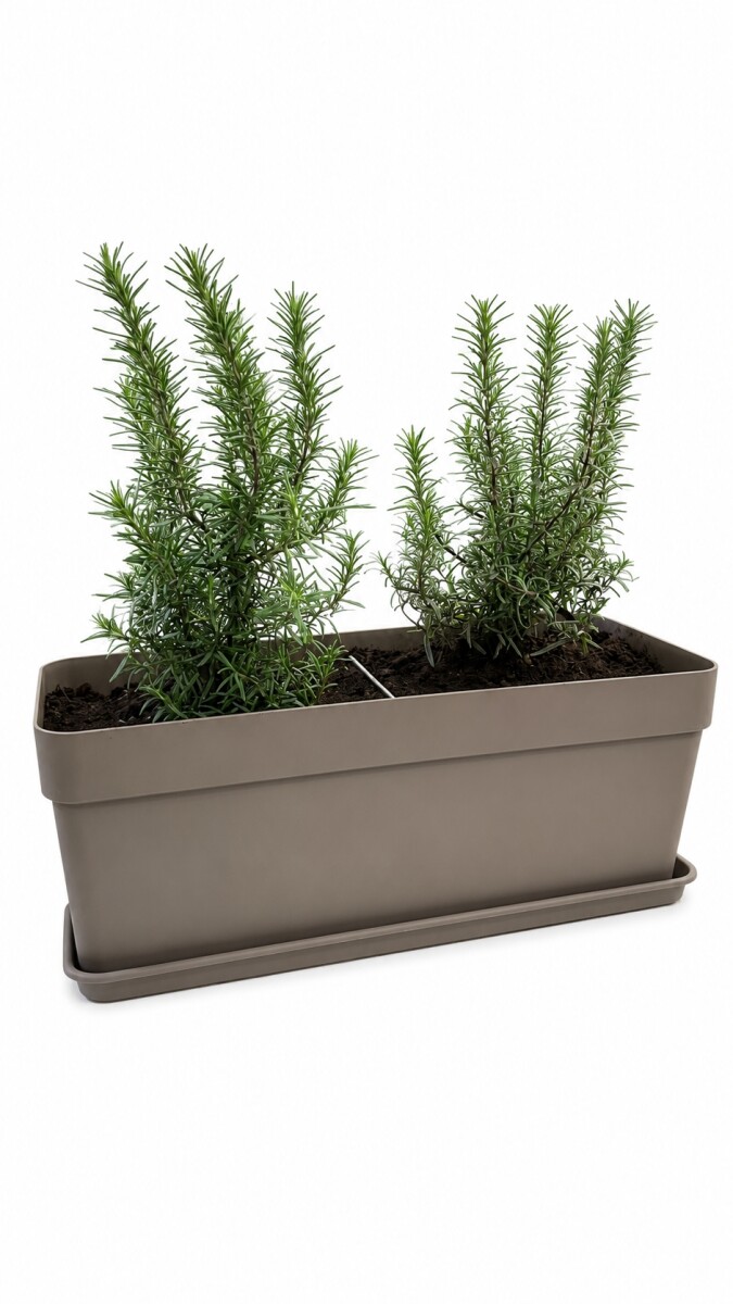 JARDINERA CON ROMEROS - TAUPE 