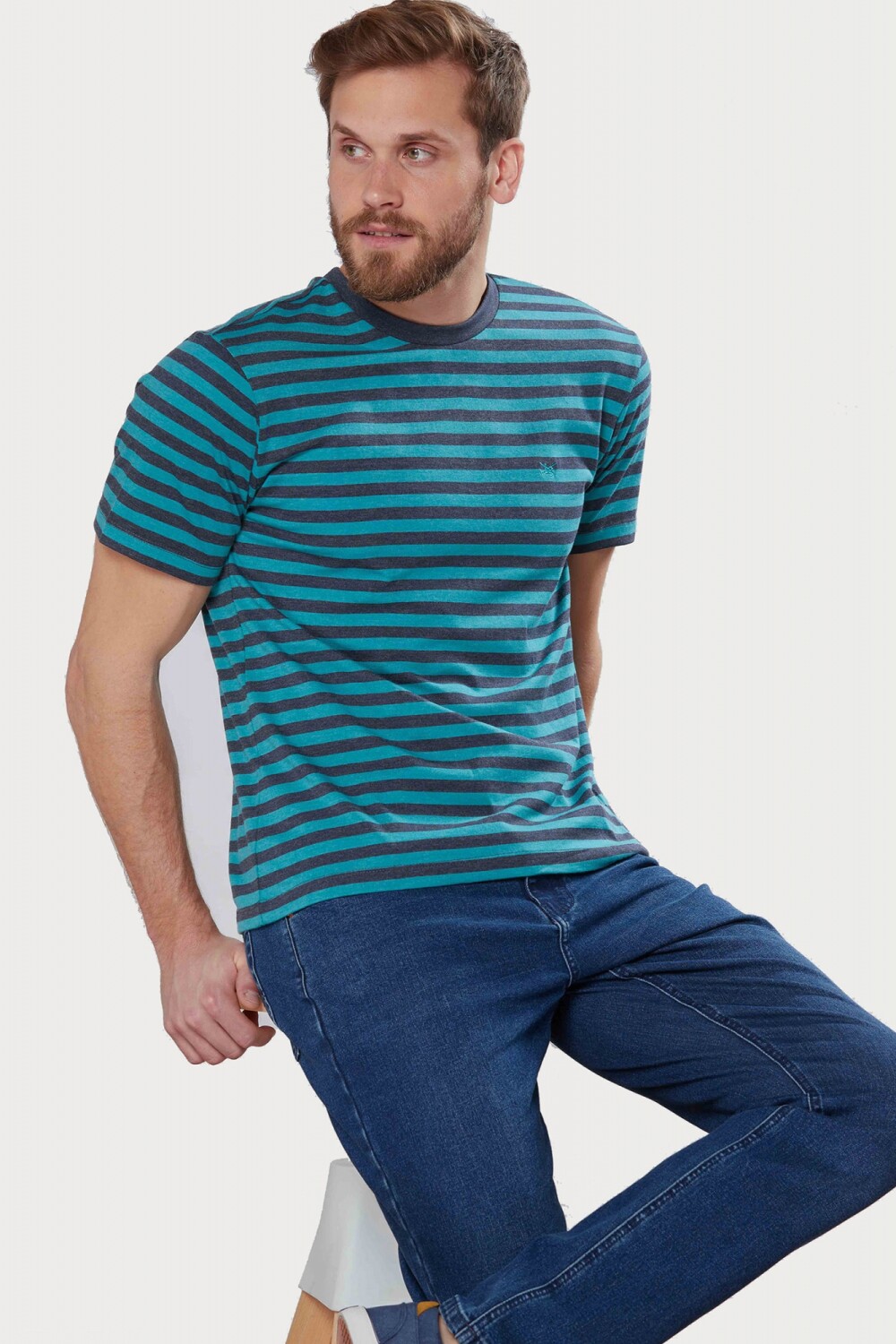REMERA RAYADA Verde