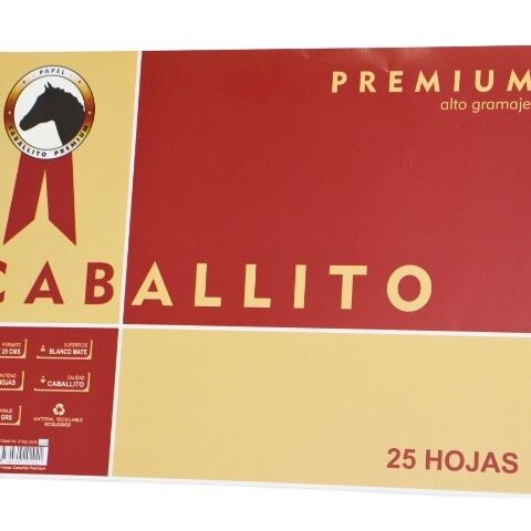 PAPEL CABALLITO 26X36 X 25 HOJAS PAPEL CABALLITO 26X36 X 25 HOJAS