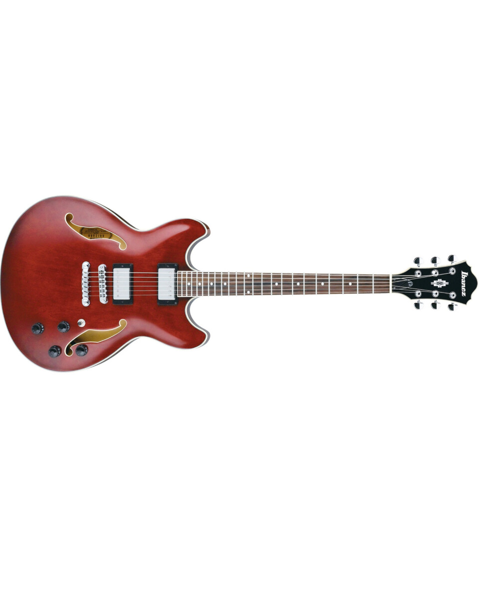 Guitarra Electrica Serie AS Cpo.Hueco 24 trastes 