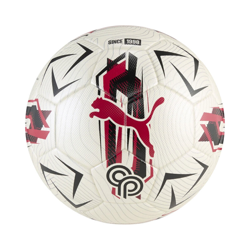 Pelota Puma 084848/01 Pelota Puma 084848/01
