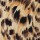 Colaless Priscila Print 4