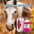 METABOLASE FRASCO 500 ML METABOLASE FRASCO 500 ML